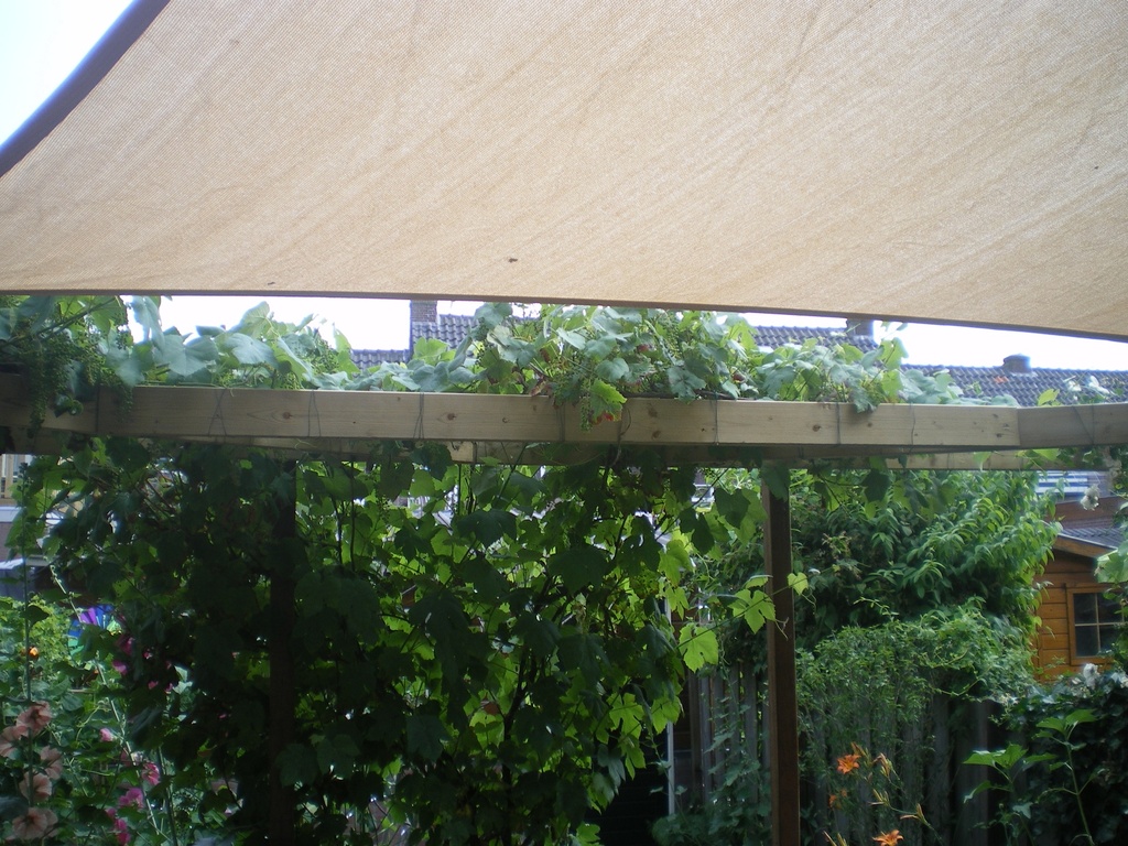 Schaduwdoek Wavesail waterdicht