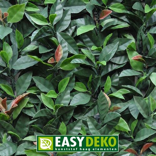 [ED.060029] Easydeko Kunsthaag Photinia Red Robin per m²